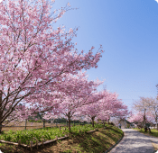 北海道私立中学高等学校協会	